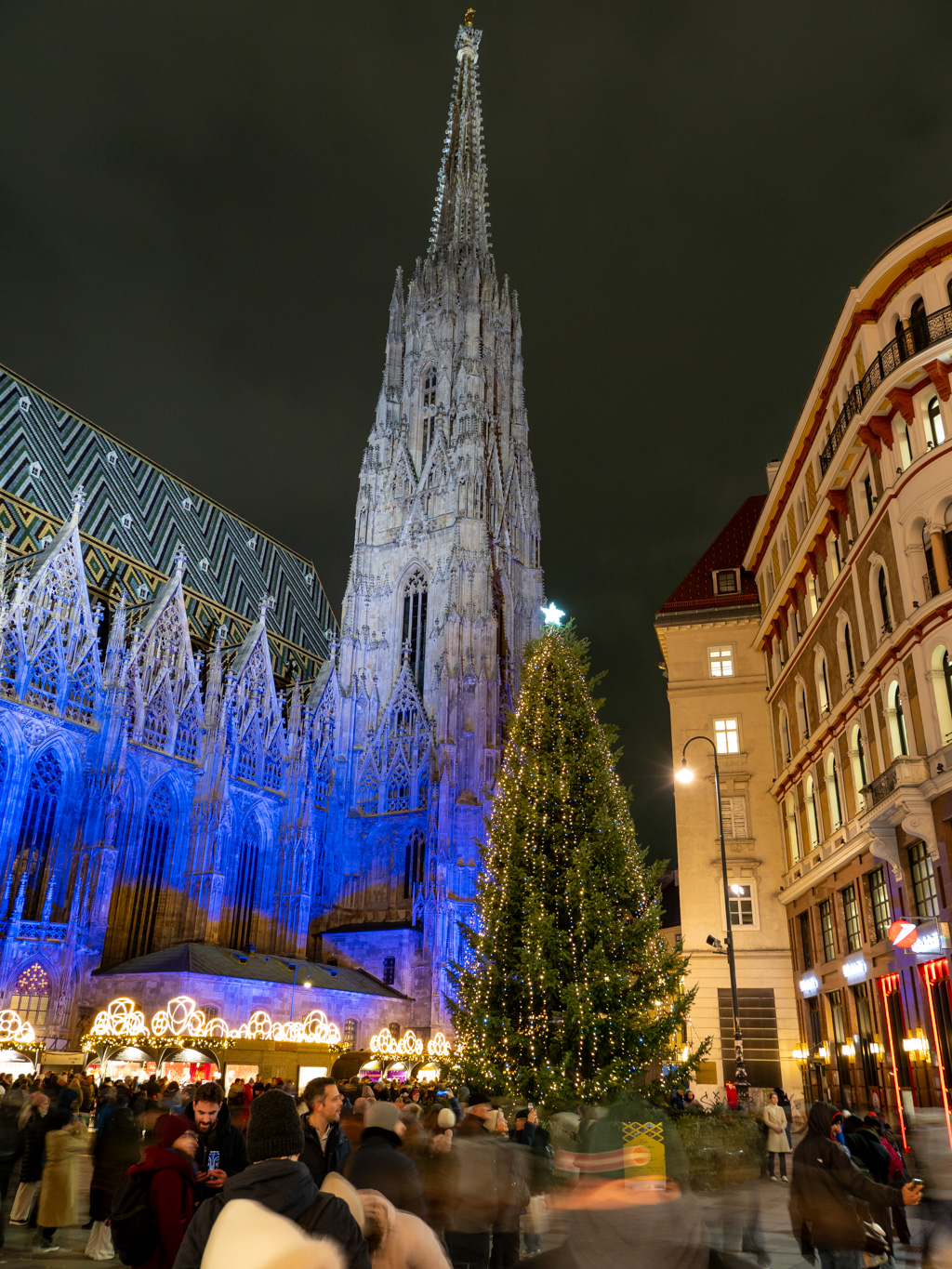 Bild vom Stephansdom in Wien mit Weihnachtsbaum